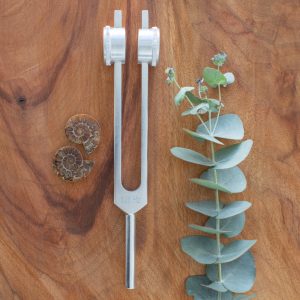 128 Hz | Weighted Tuning Fork