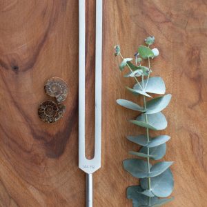 144Hz | Unweighted Tuning fork