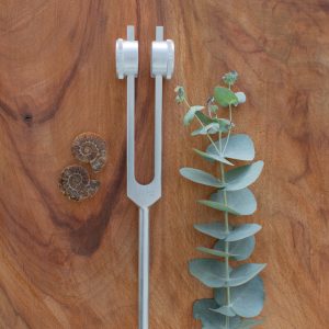174Hz | Weighted Tuning Fork