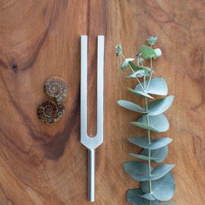 528 Hz | Tuning fork