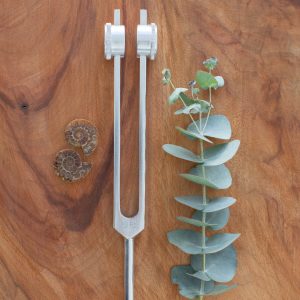 89 Hz | Weighted Tuning Fork