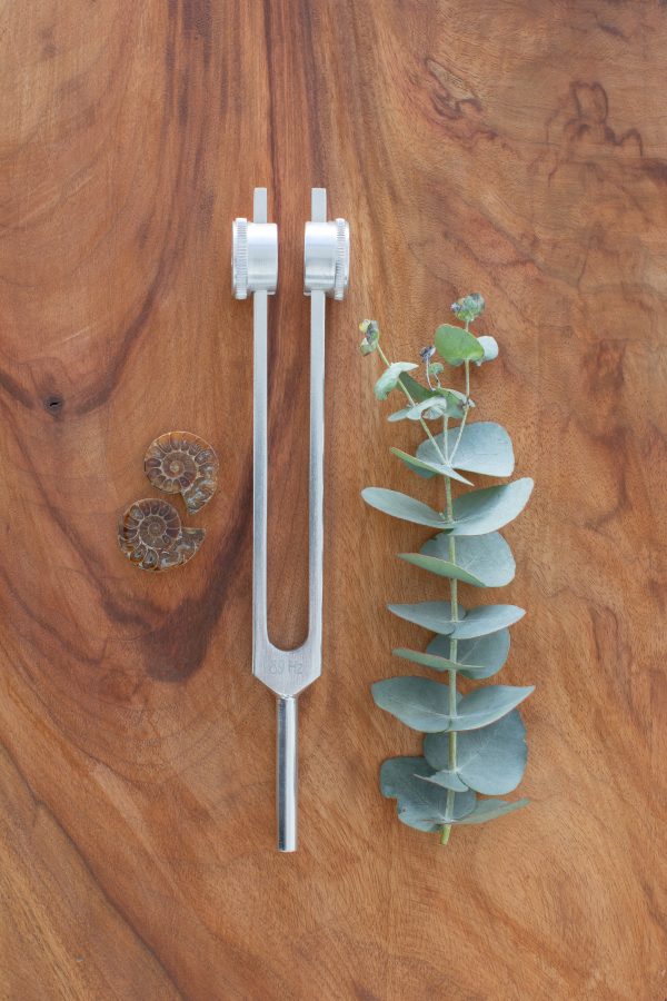 89 Hz | Weighted Tuning Fork