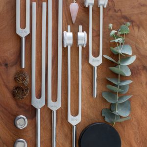 Deluxe Tuner Kit